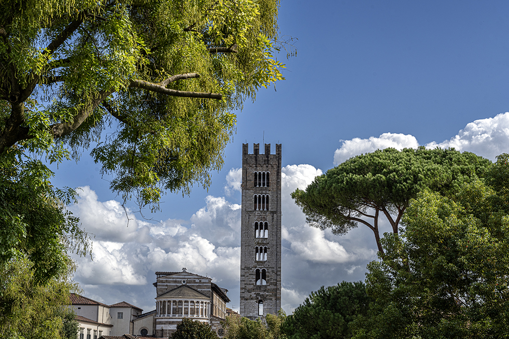 12 -LUCCA.jpg